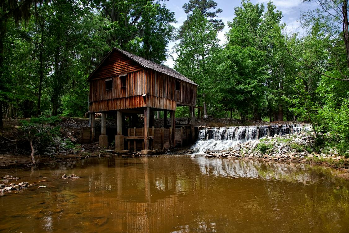 Image for Stay in Alabama