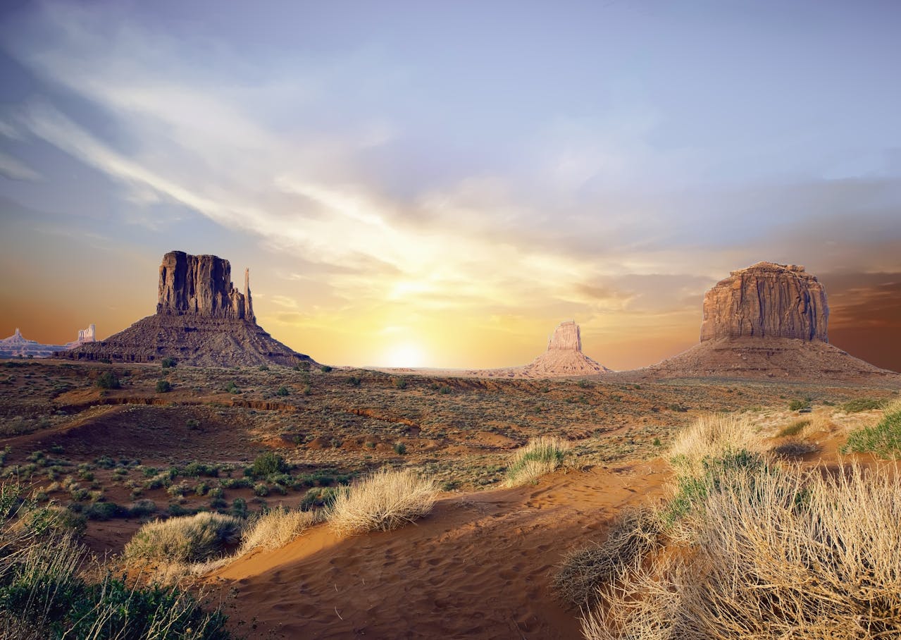 Image for Stay in Arizona