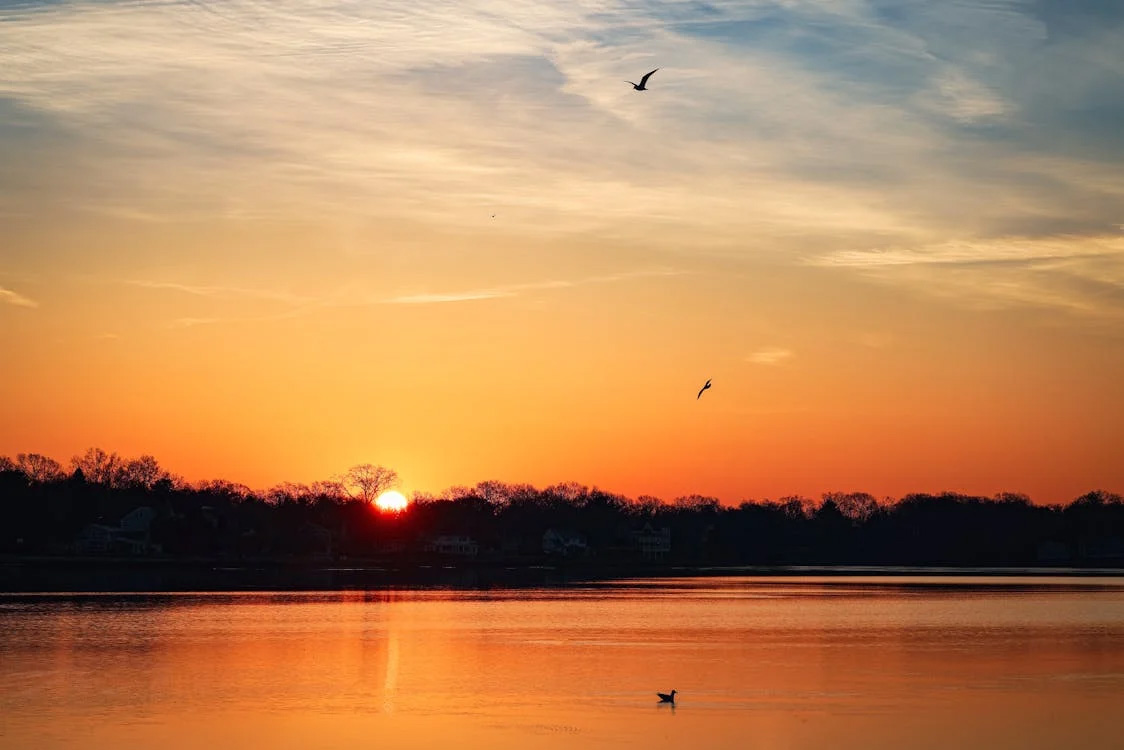 Image for Stay in Connecticut