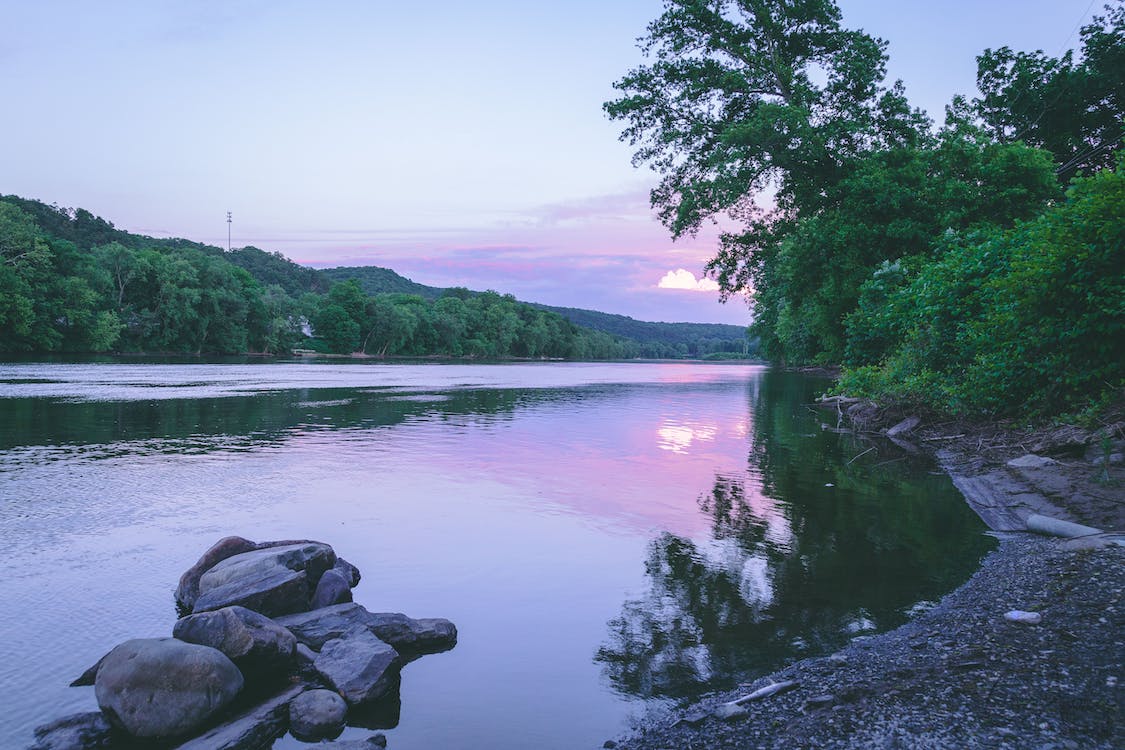 Image for Stay in Delaware
