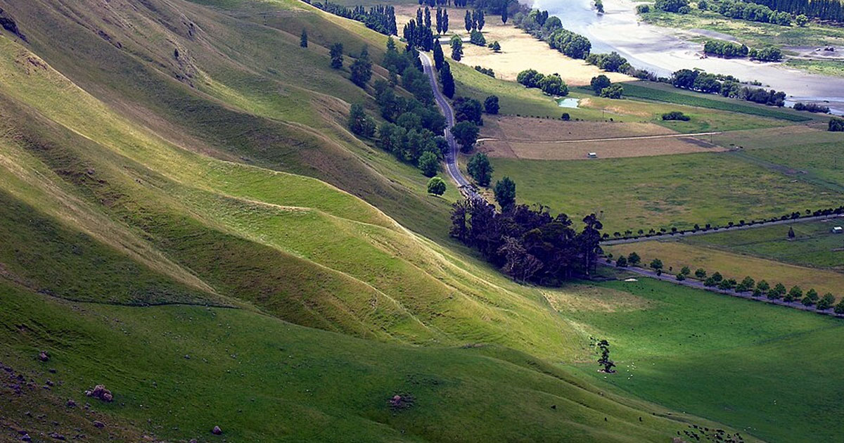 Image for Stay in Hawke's Bay