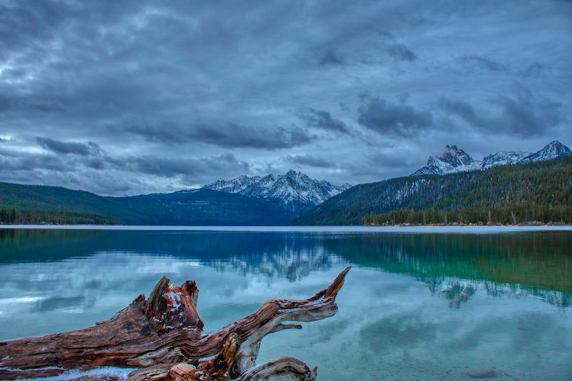 Image for Stay in Idaho