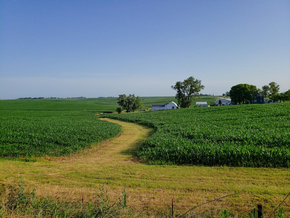 Image for Stay in Iowa