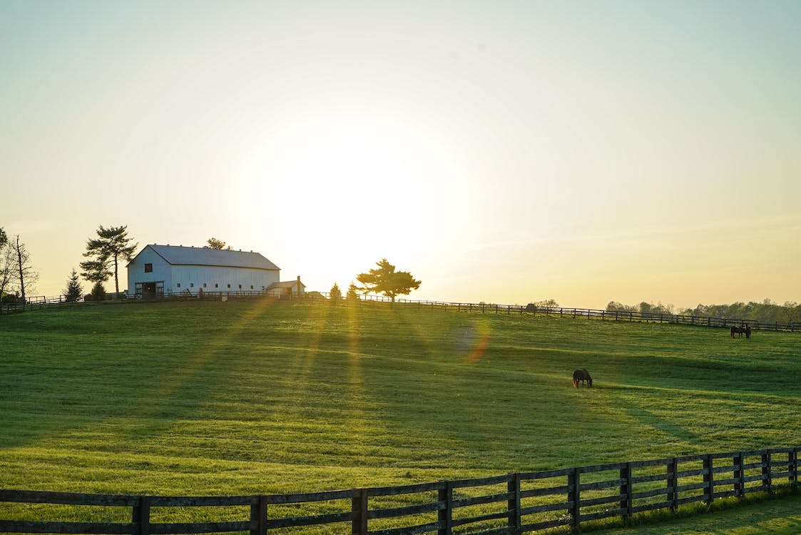 Image for Stay in Kentucky