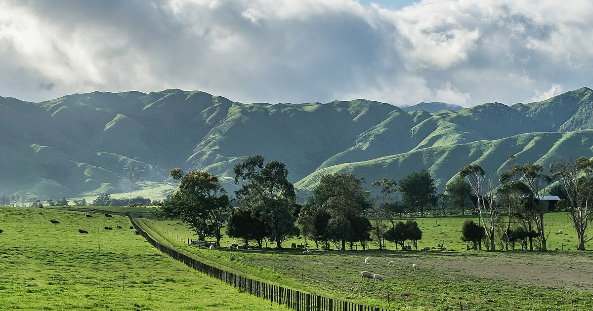 Image for Stay in Manawatu-Wanganui