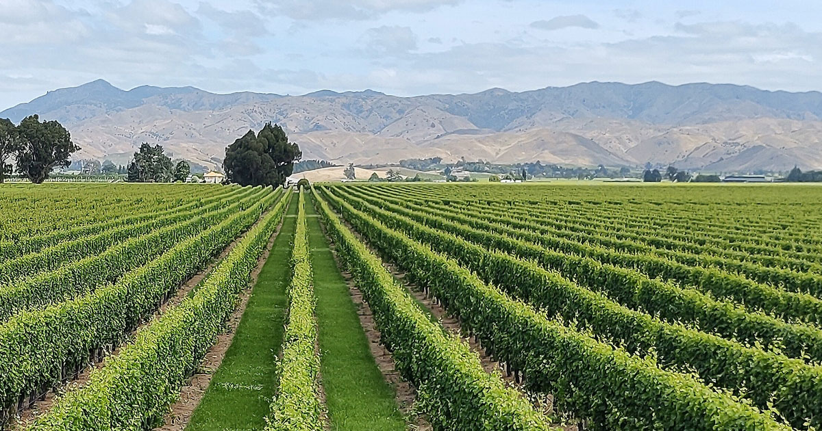 Image for Stay in Marlborough