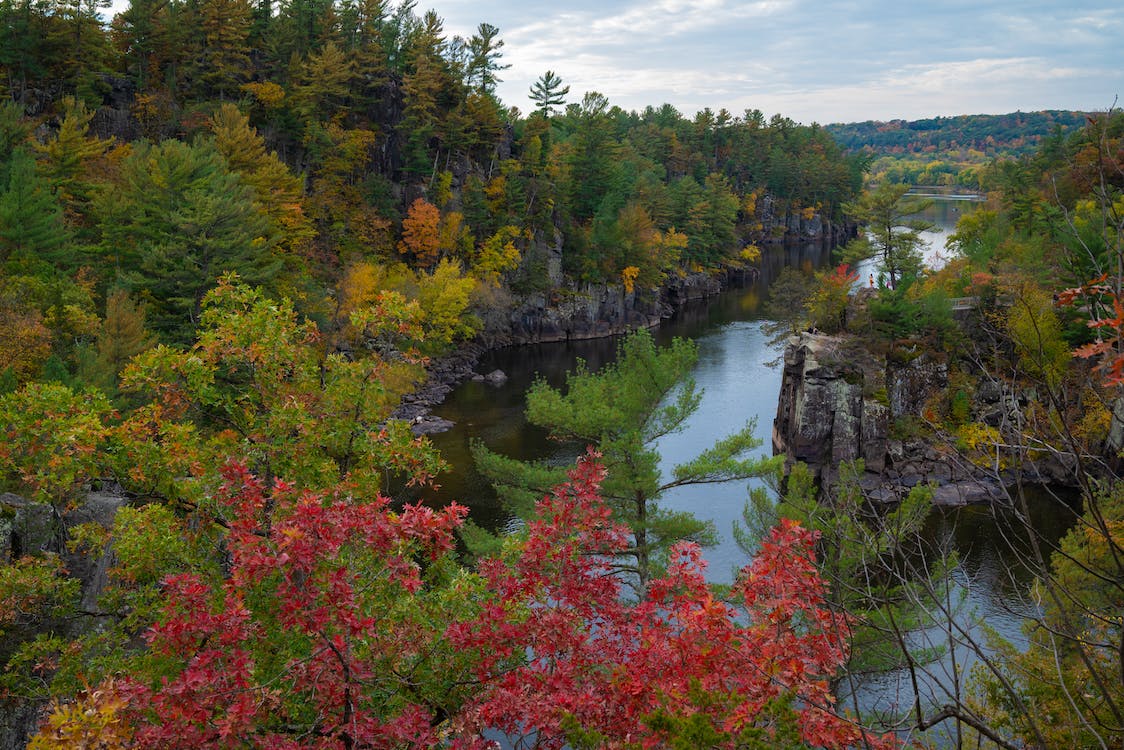 Image for Stay in Minnesota