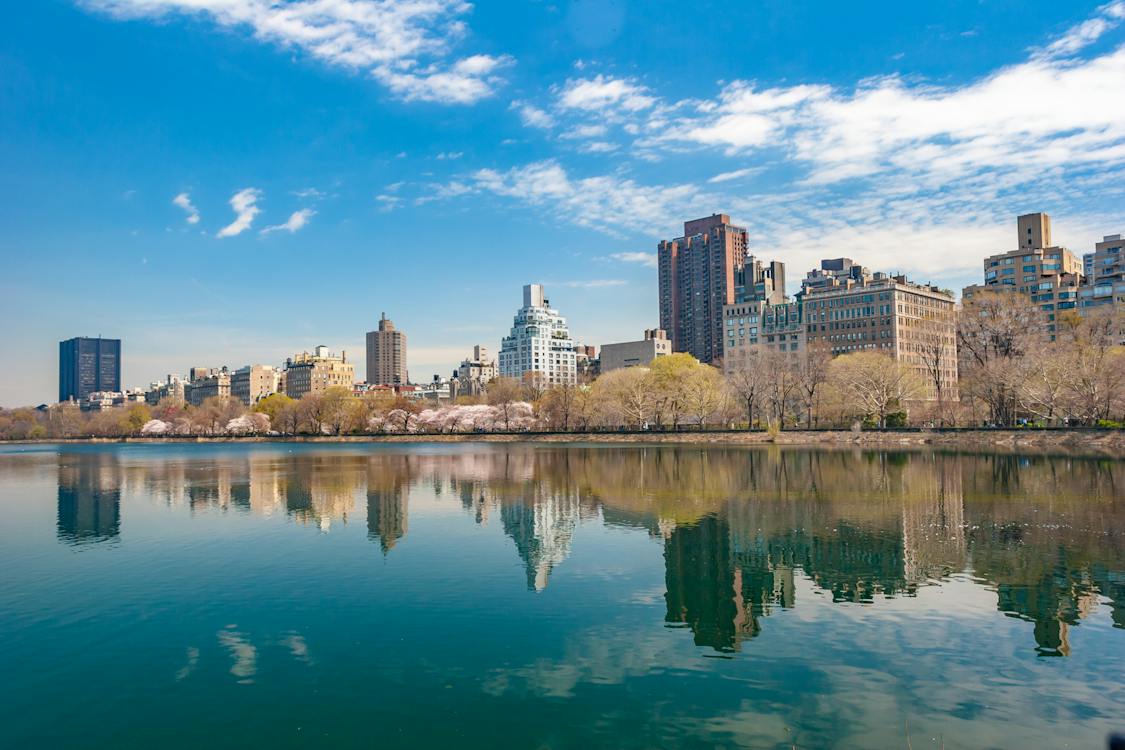 Image for Stay in New Jersey