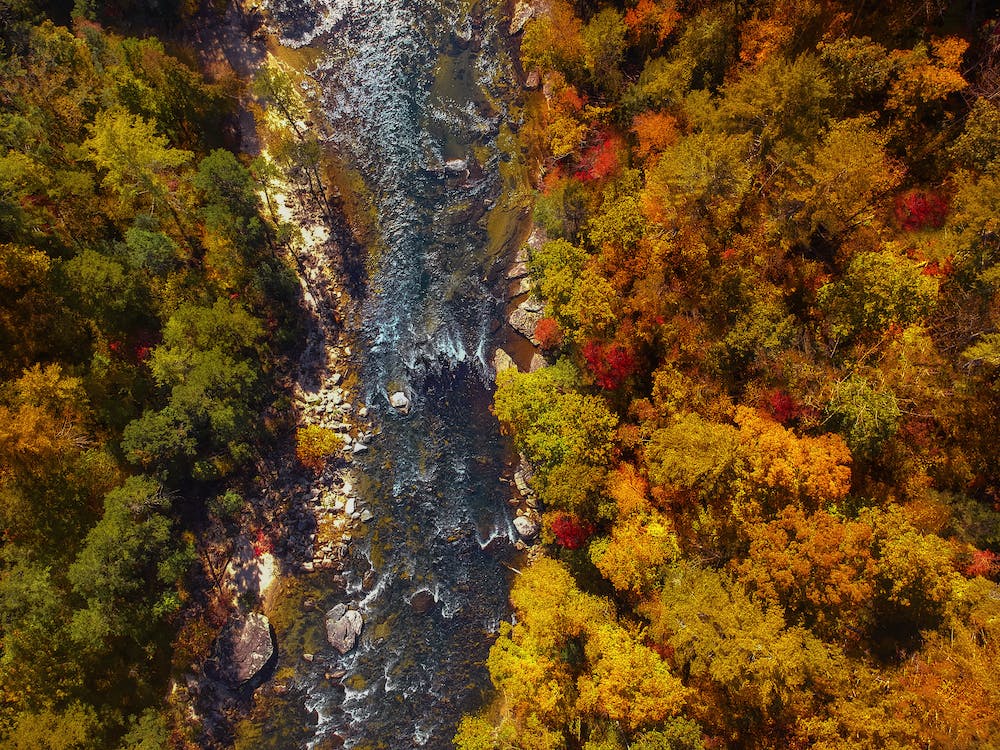 Image for Stay in North Carolina
