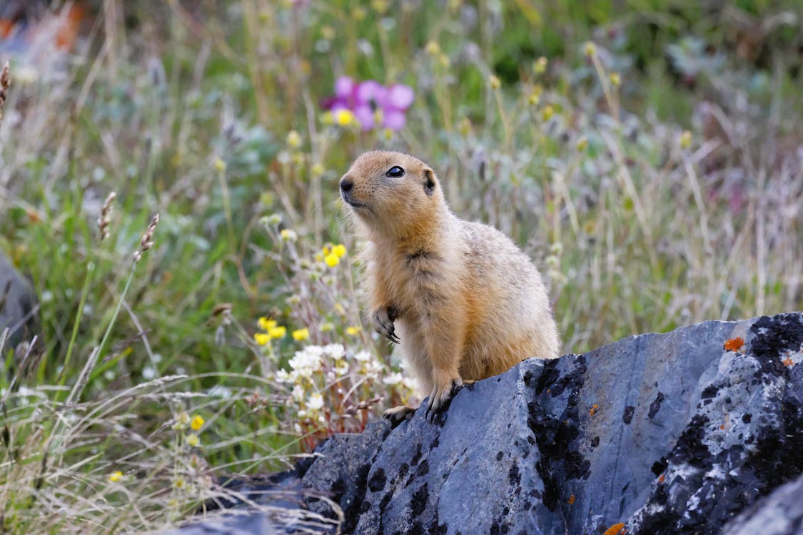 Image for Stay in Nunavut