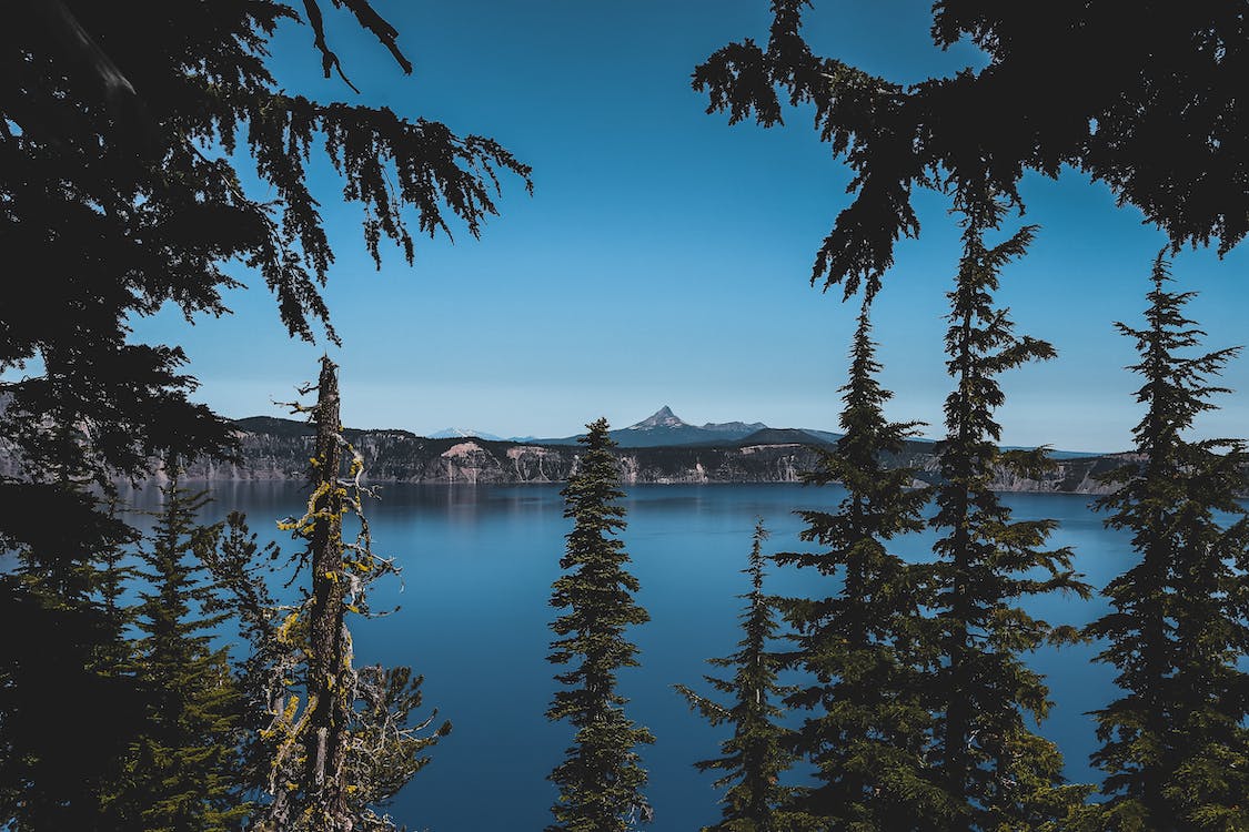 Image for Stay in Oregon