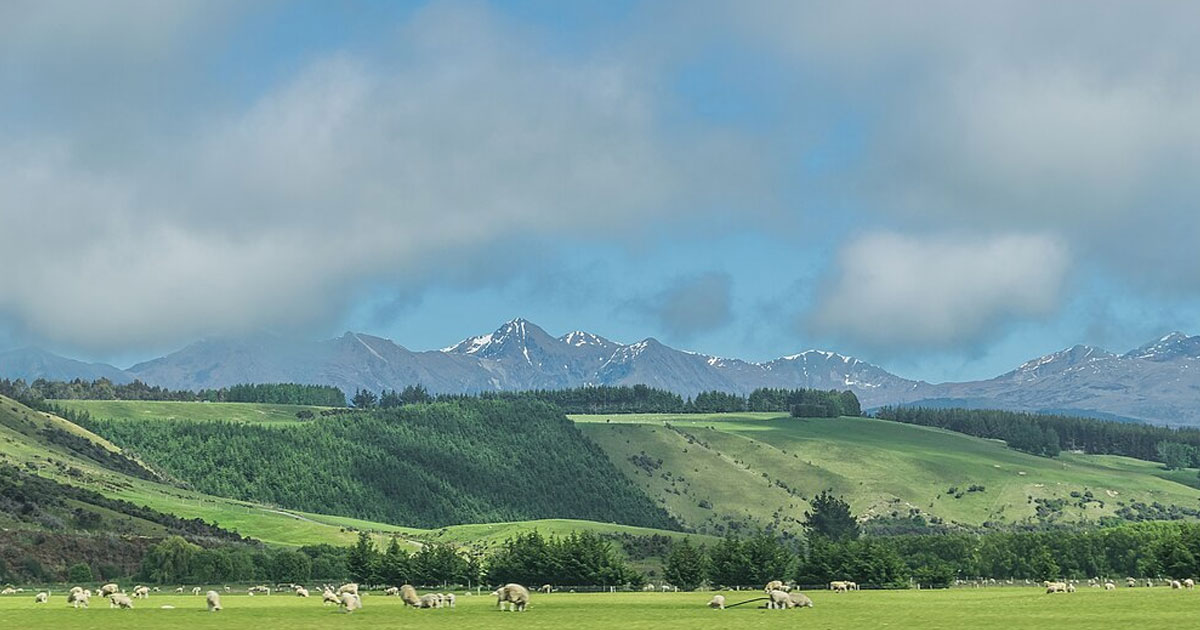 Image for Stay in Southland