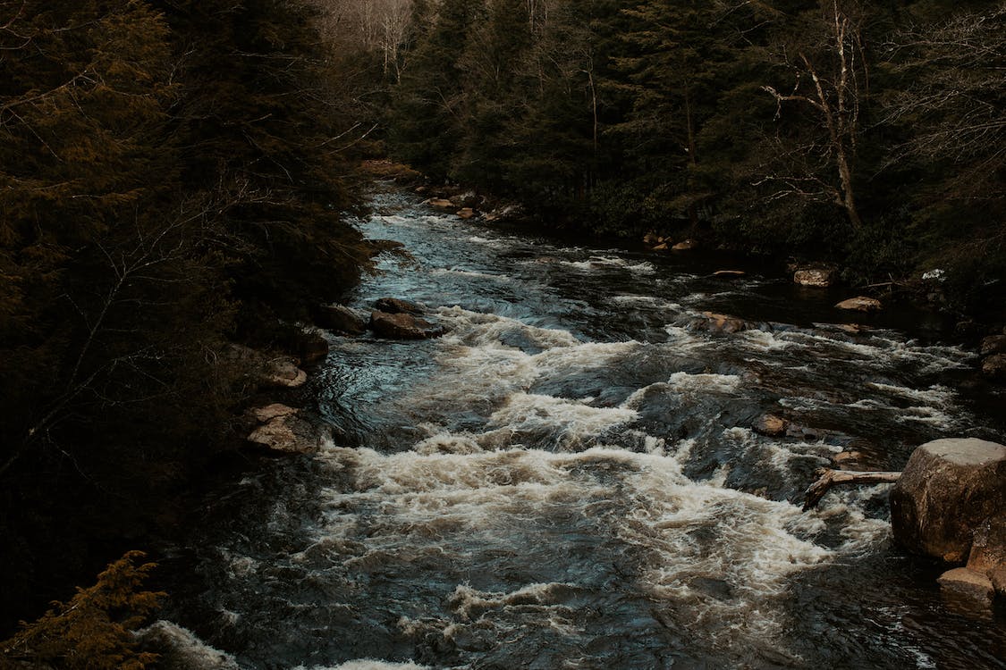 Image for Stay in West Virginia