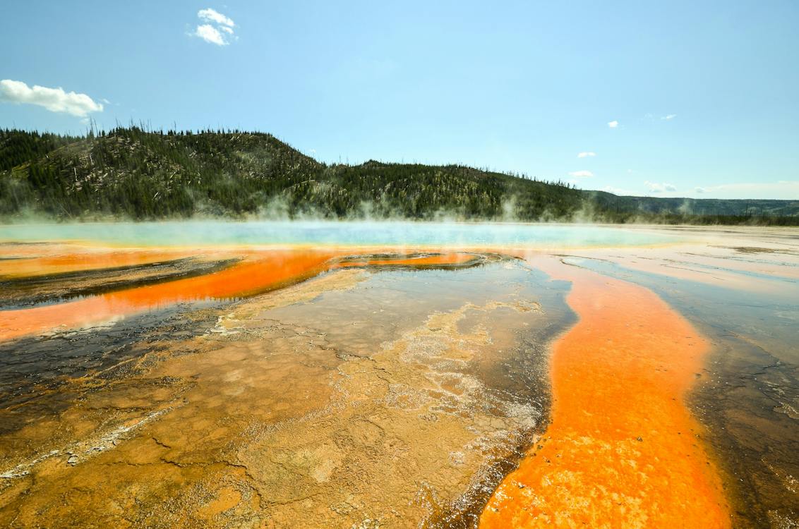 Image for Stay in Wyoming