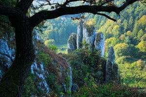 Ojcow National Park Poland