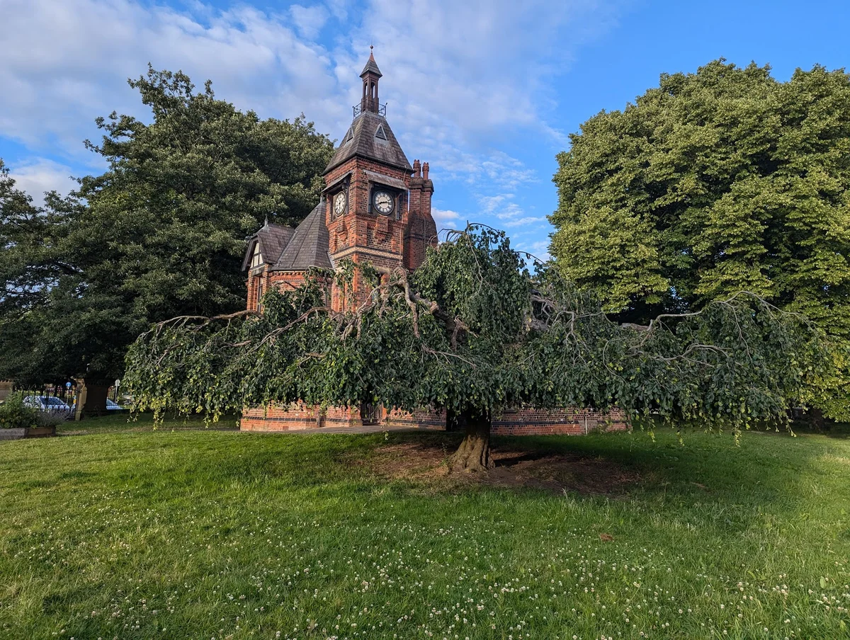 Alexandra Park