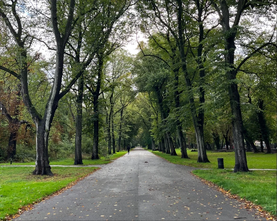 Alexandra Park