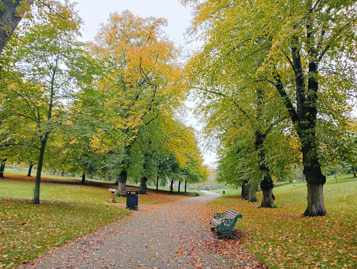 Arboretum