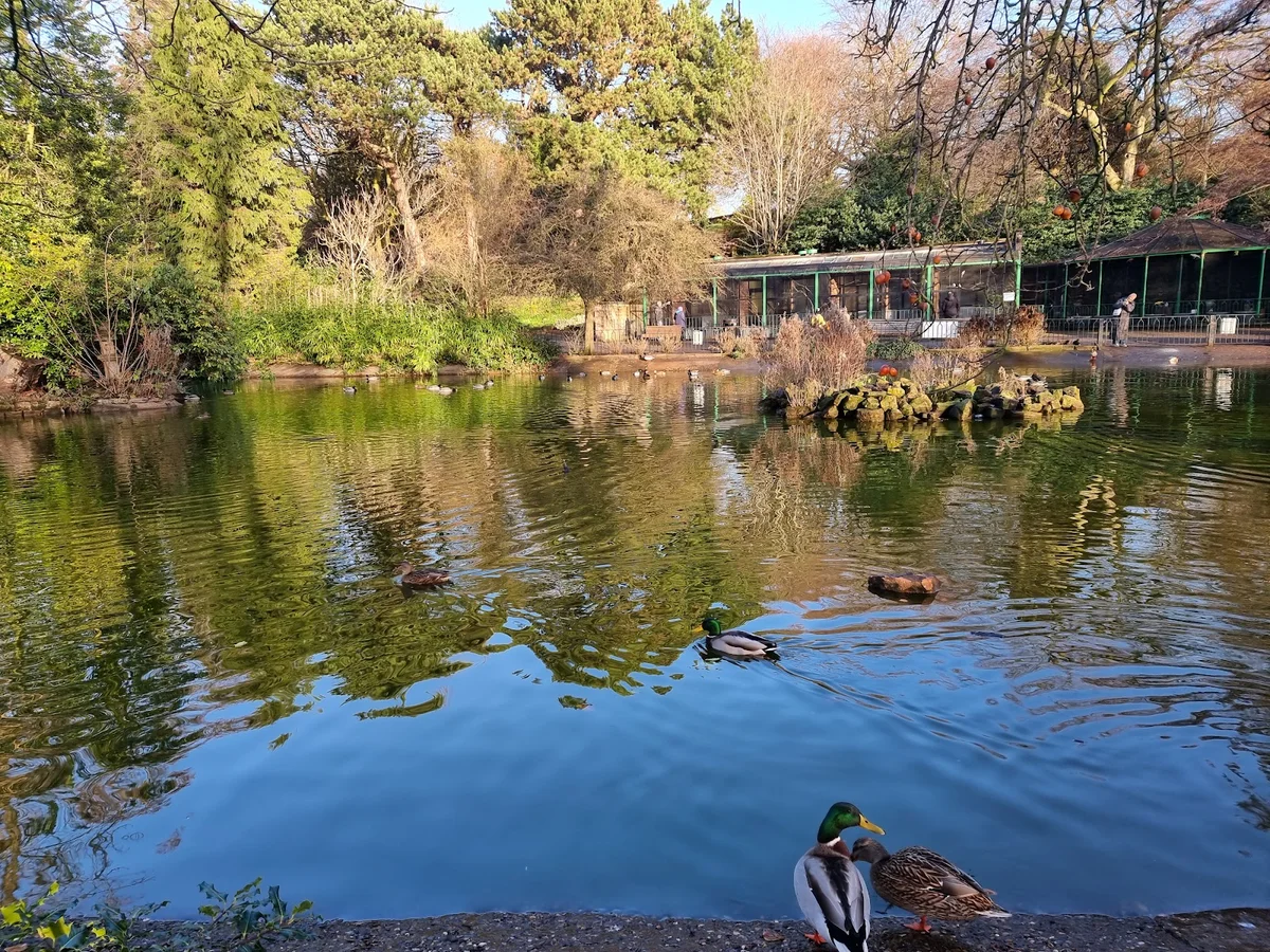 Arboretum