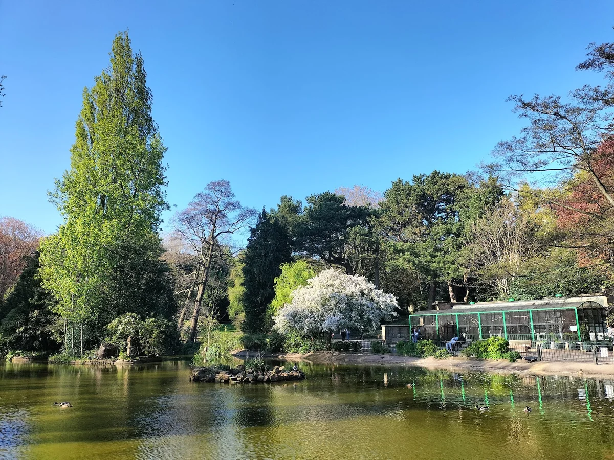Arboretum