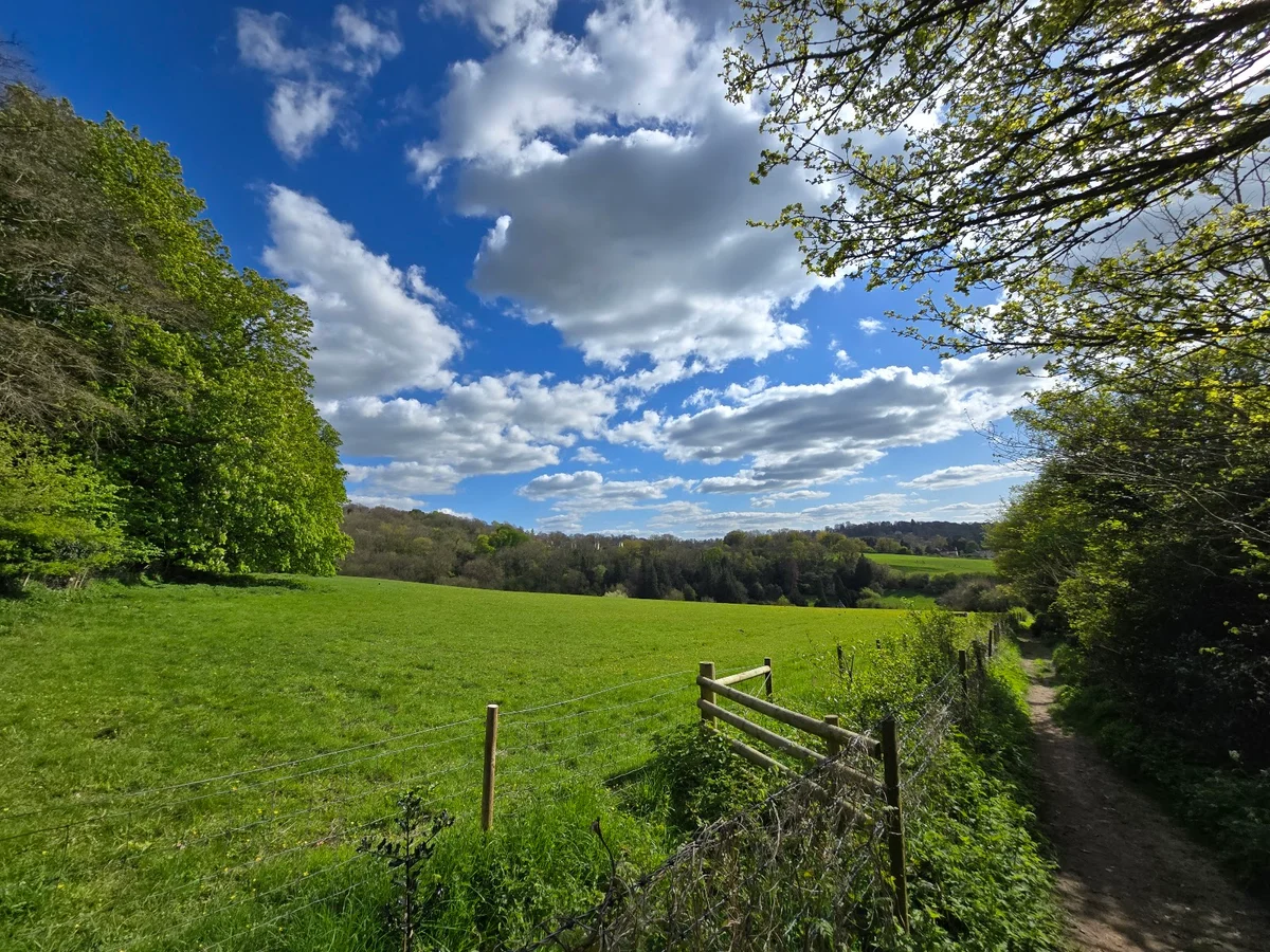 Bath Skyline