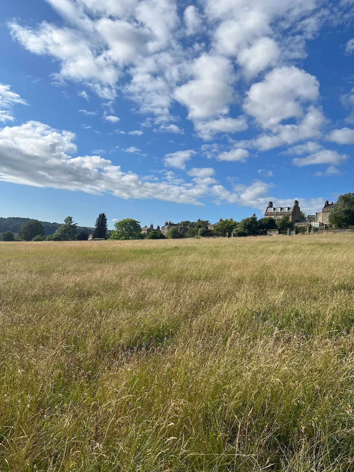 Bath Skyline