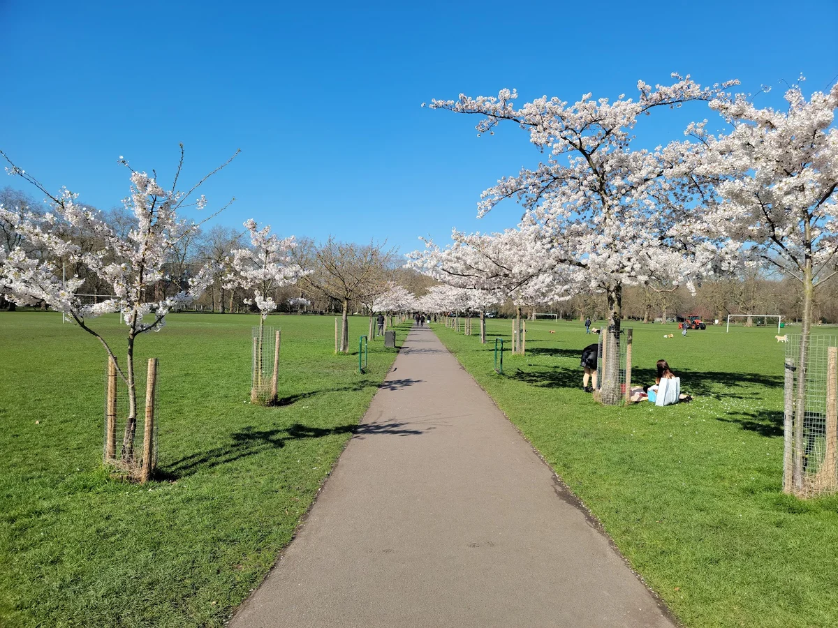 Battersea Park