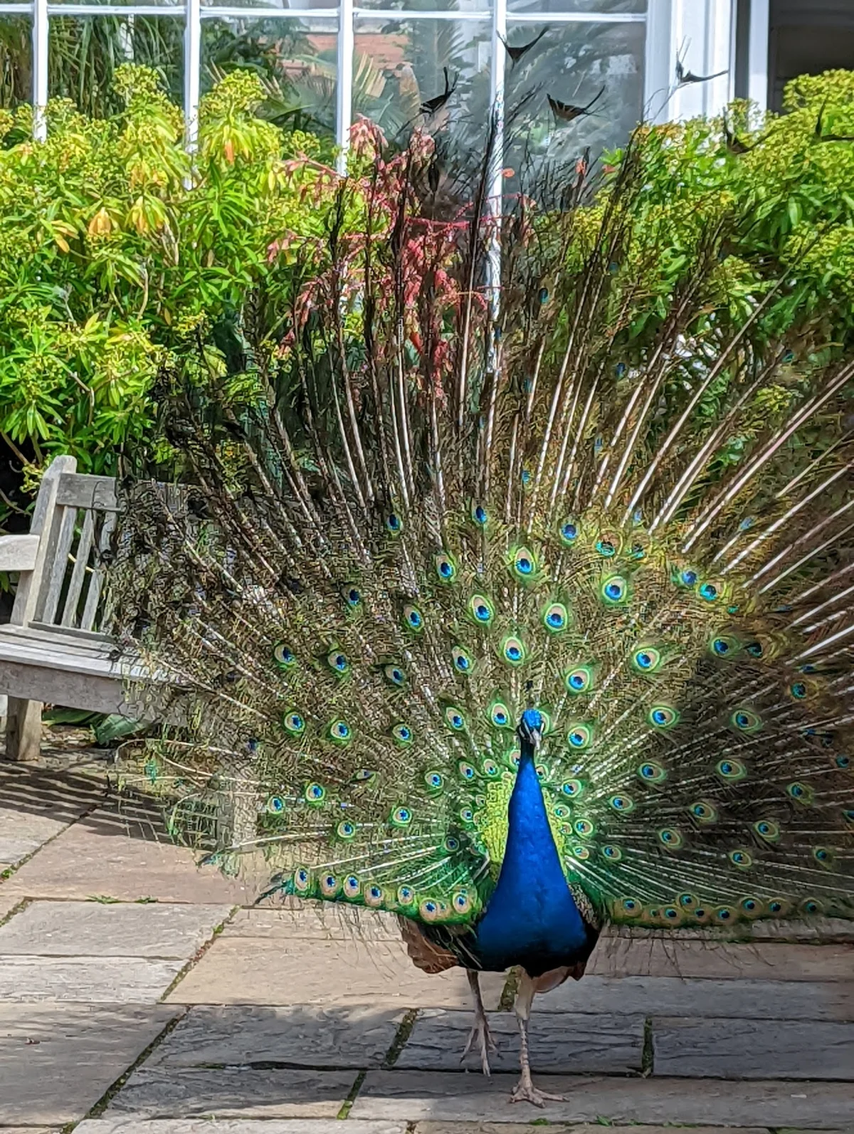 Birmingham Botanical Gardens