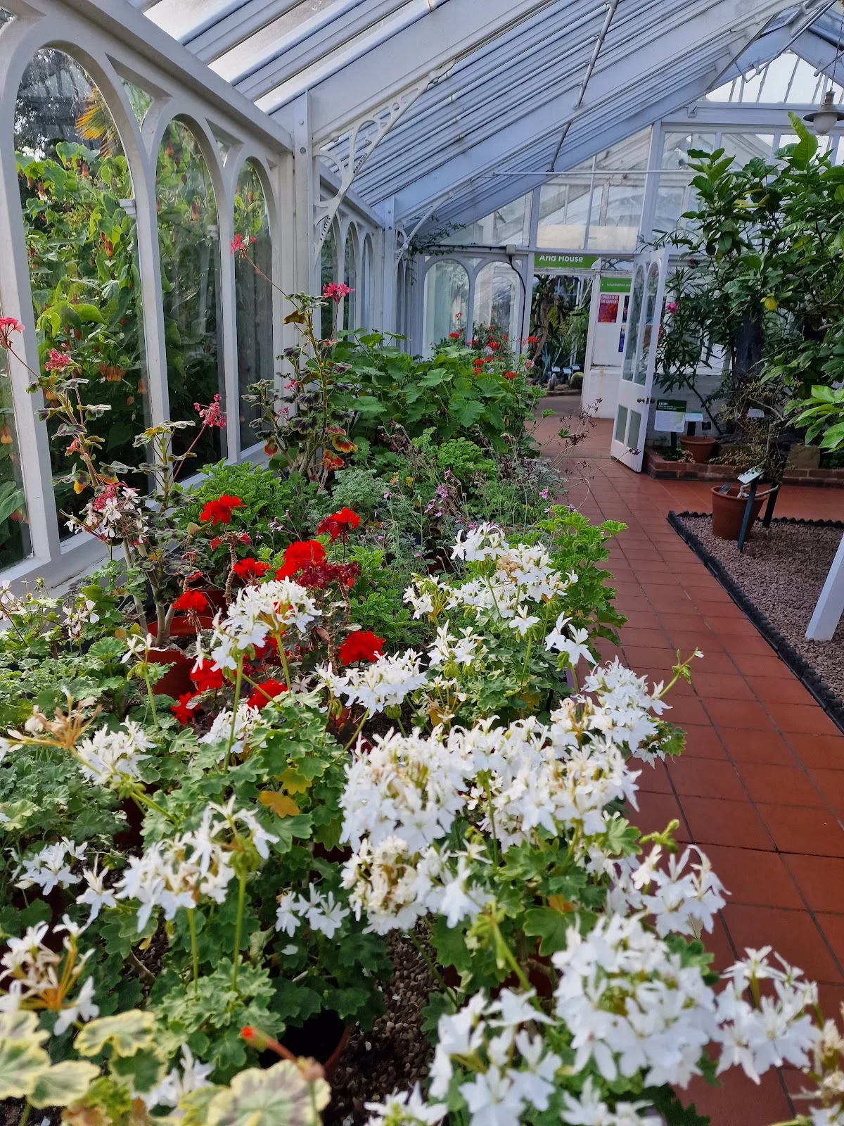 Birmingham Botanical Gardens