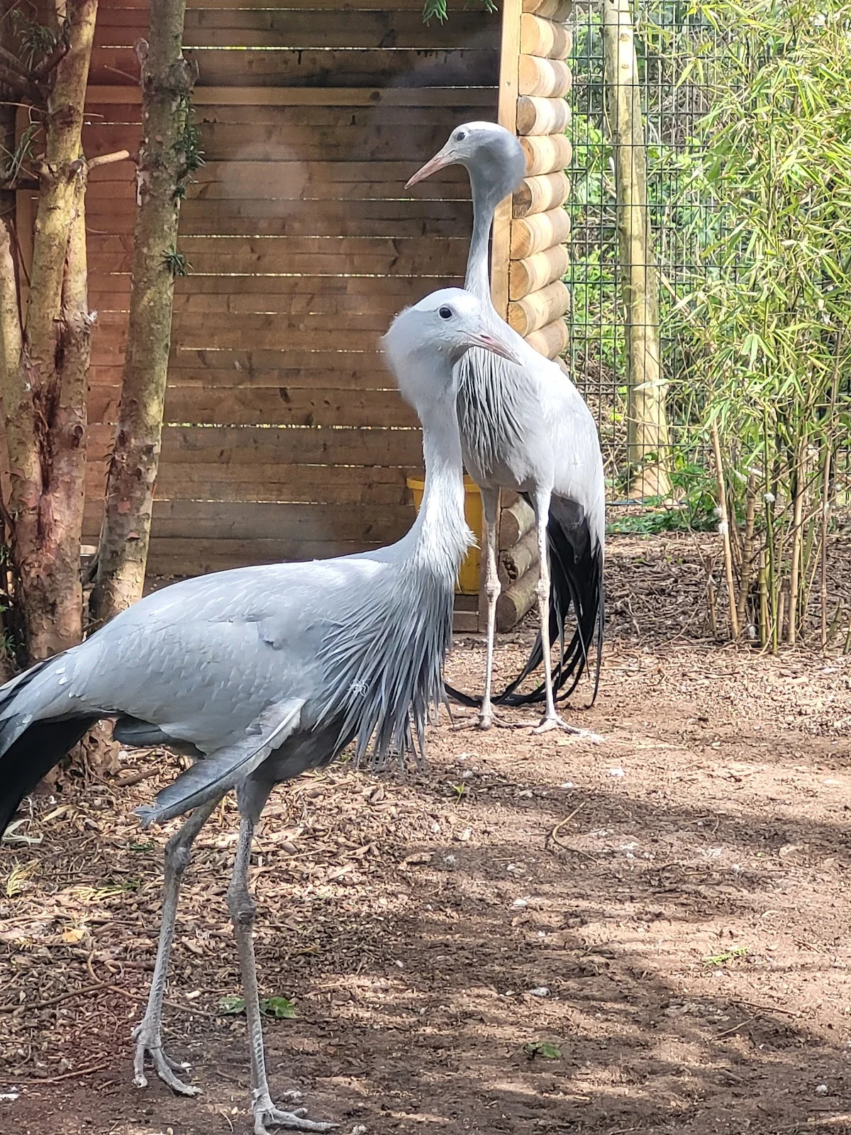 Birmingham Wildlife Conservation Park
