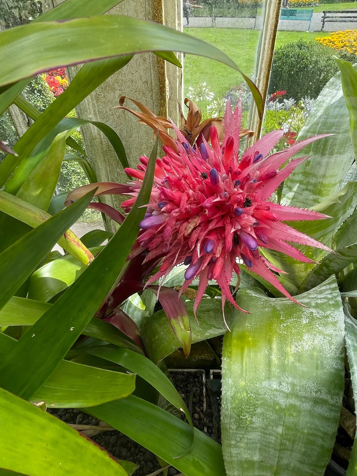 Botanic Gardens