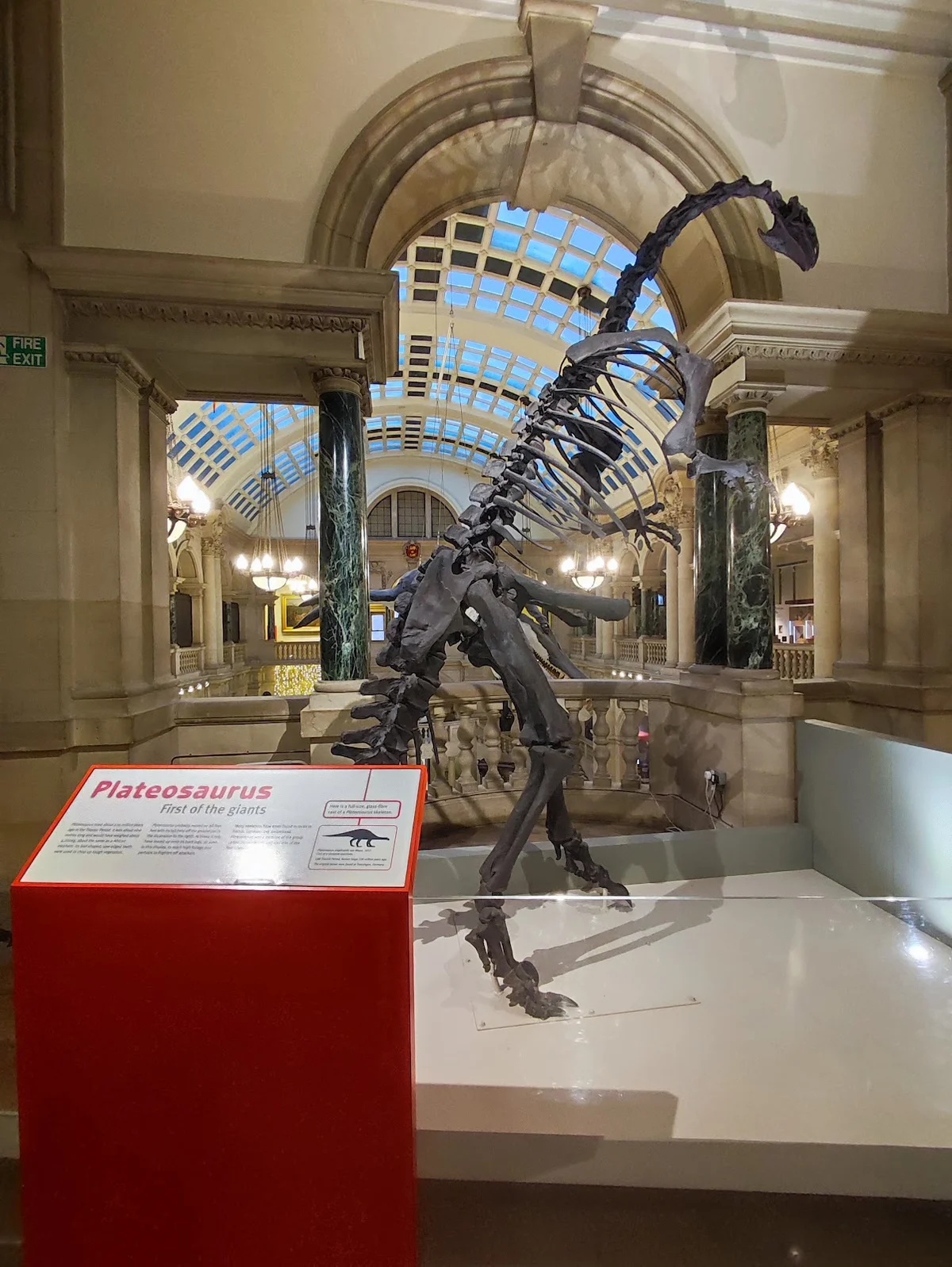 Bristol Museum & Art Gallery