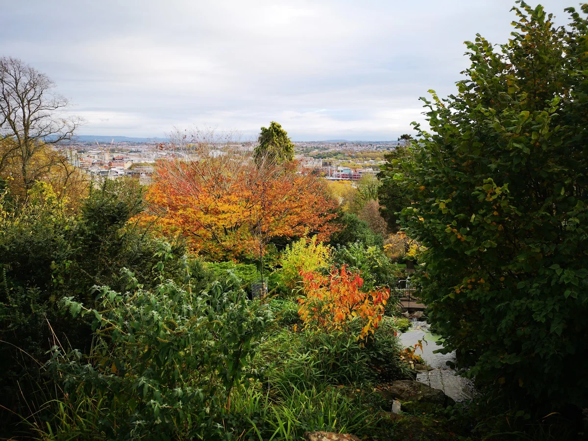 Cabot Tower