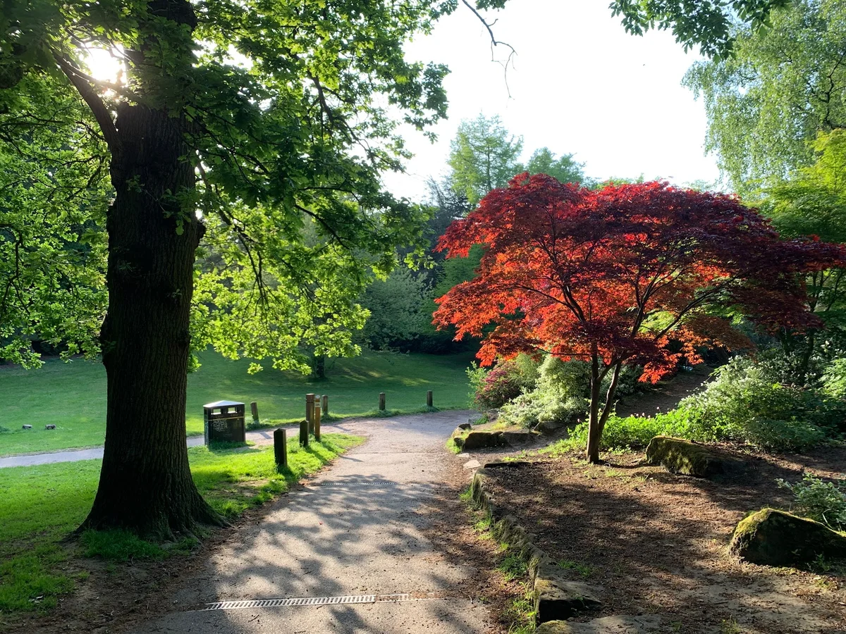 Calderstones Park