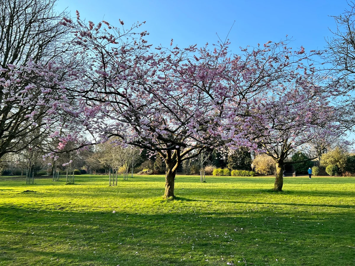 Calderstones Park