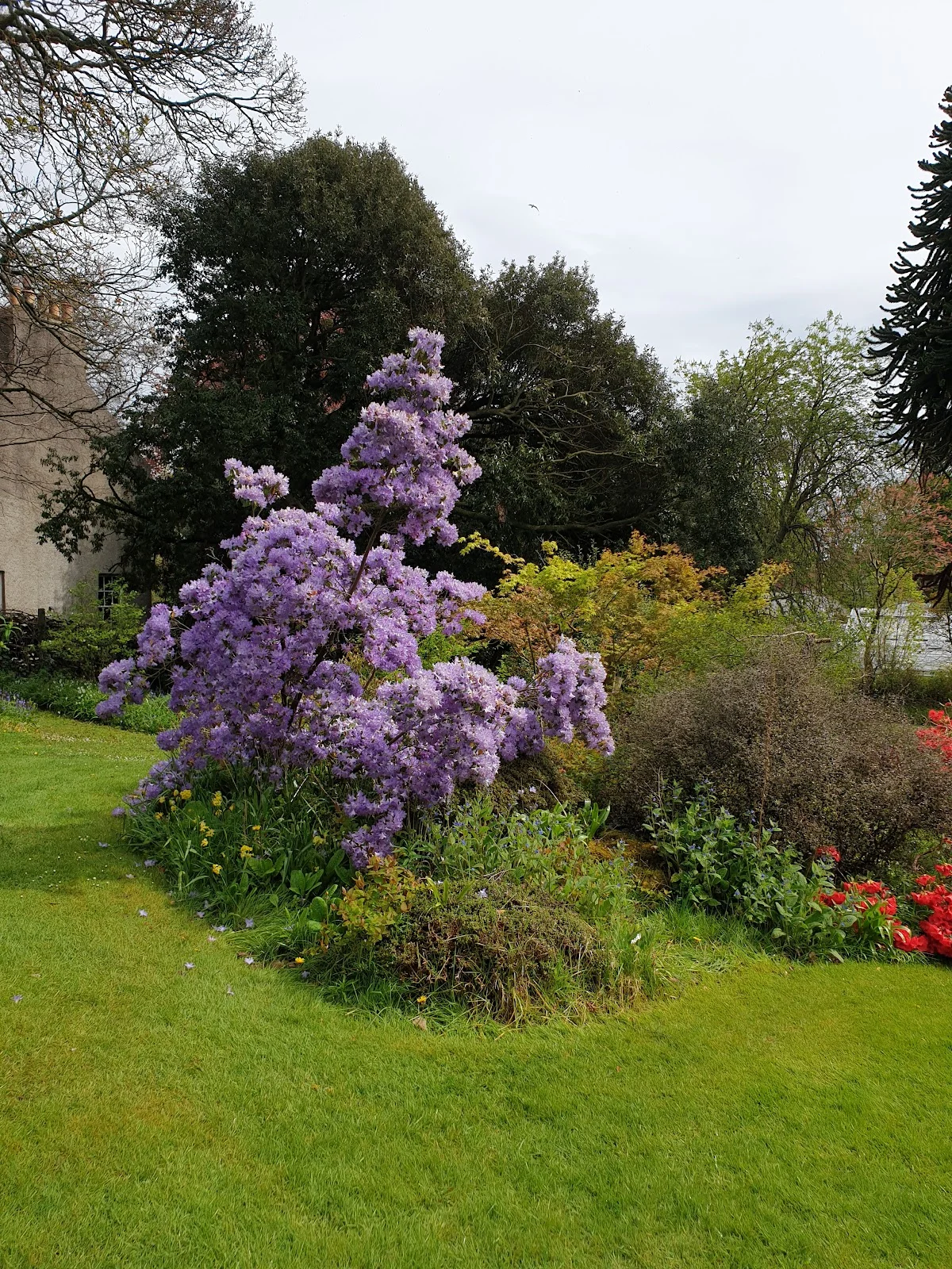 Cruickshank Botanic Garden