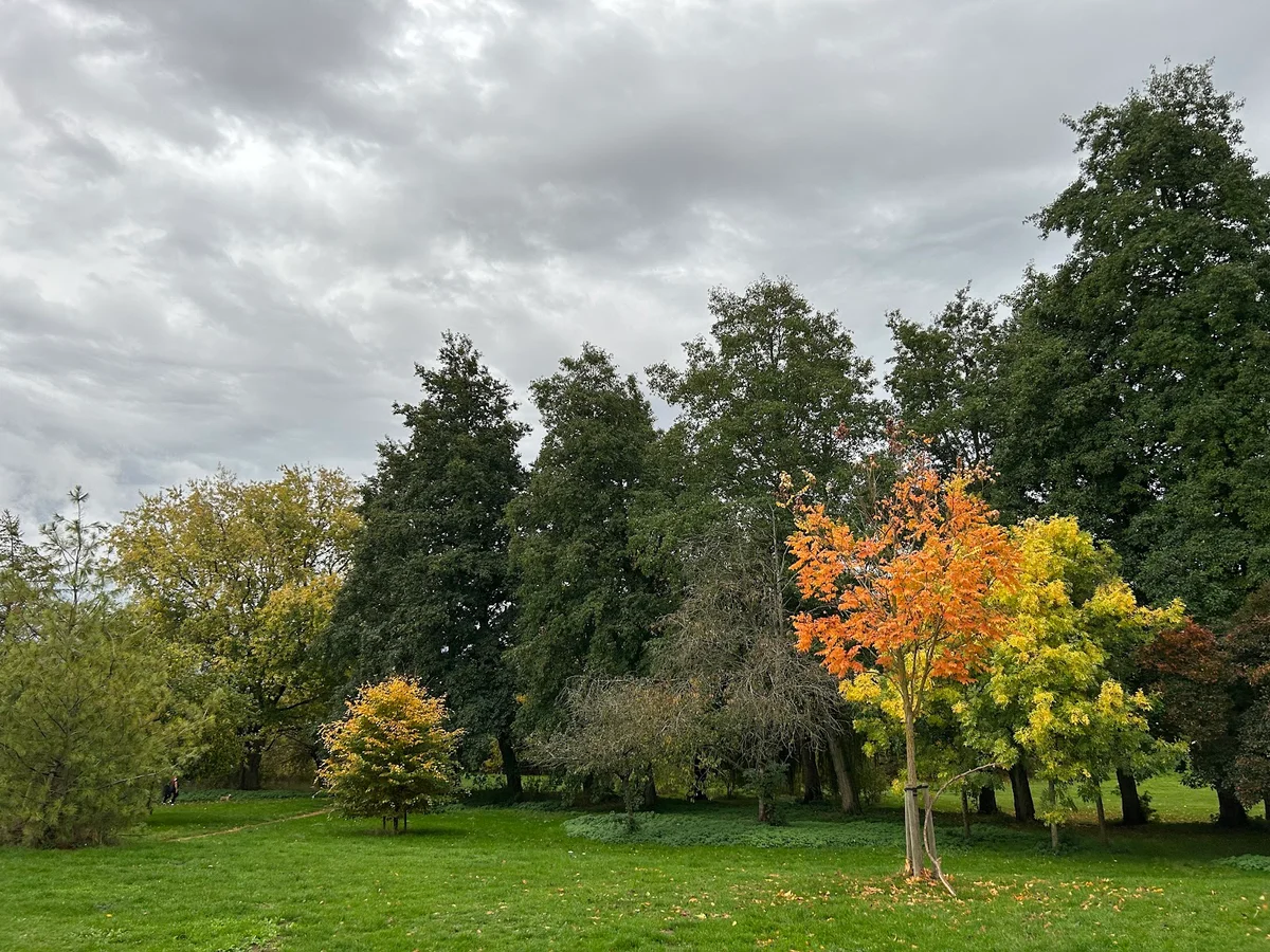 Cutteslowe and Sunnymead Park