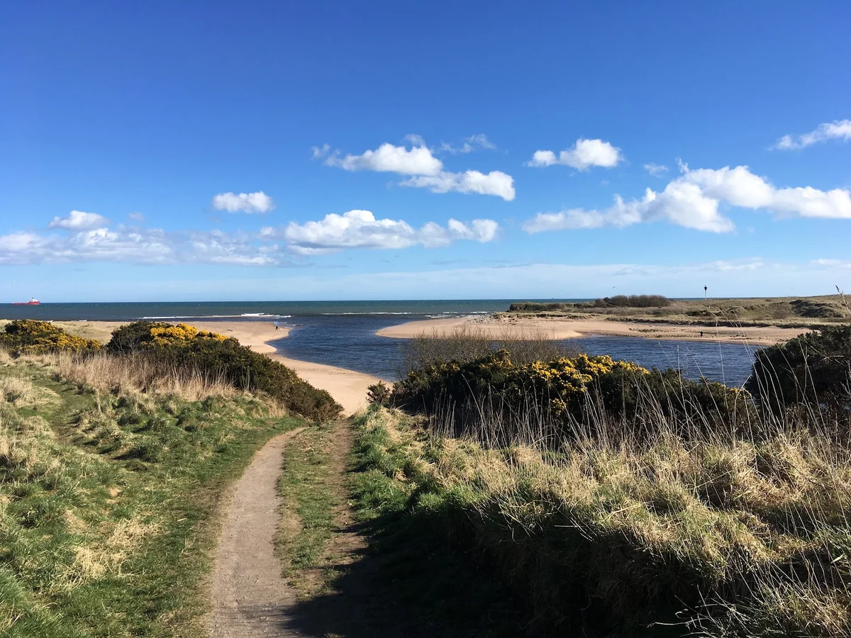 Donmouth Local Nature Reserve