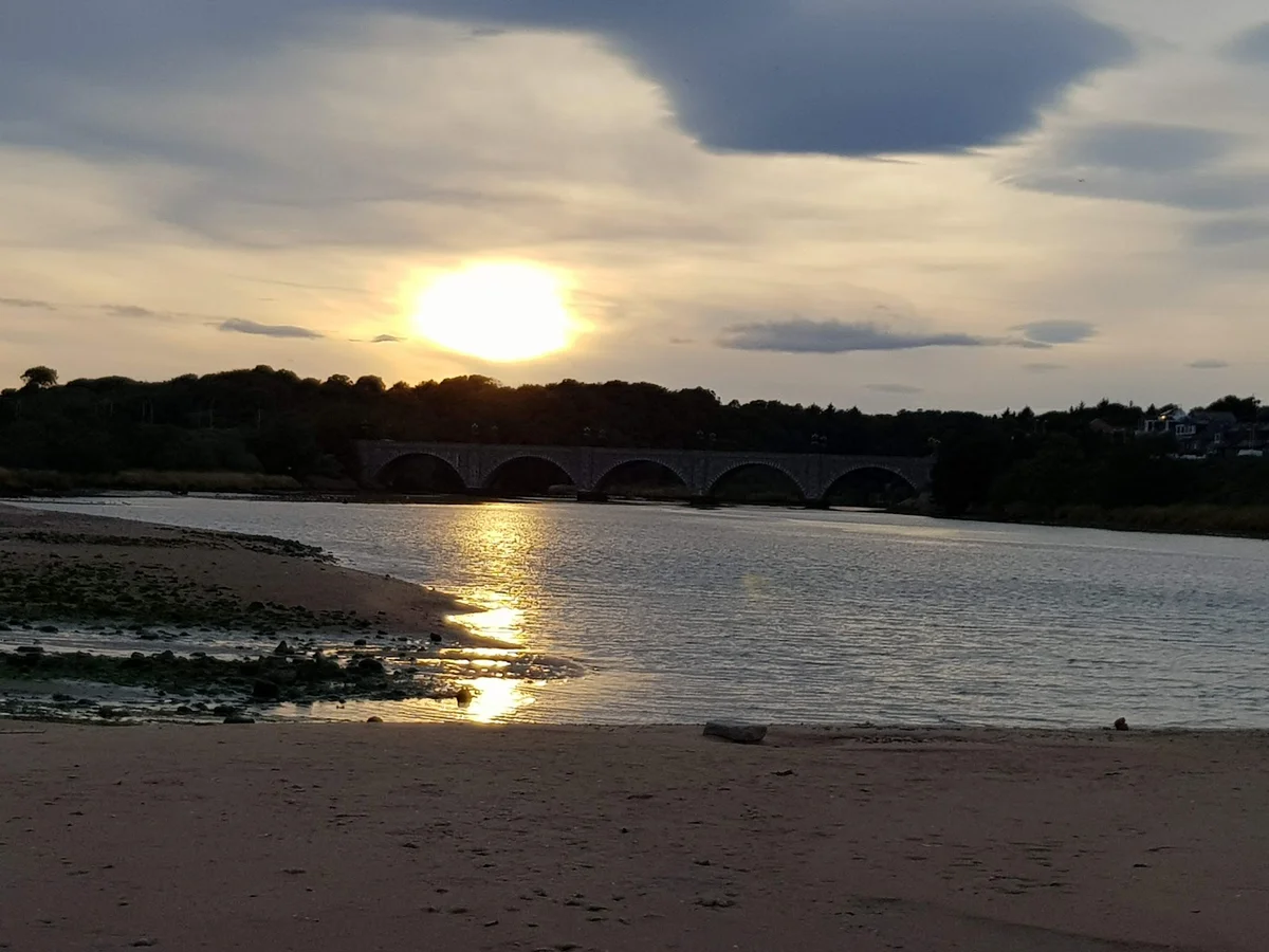 Donmouth Local Nature Reserve