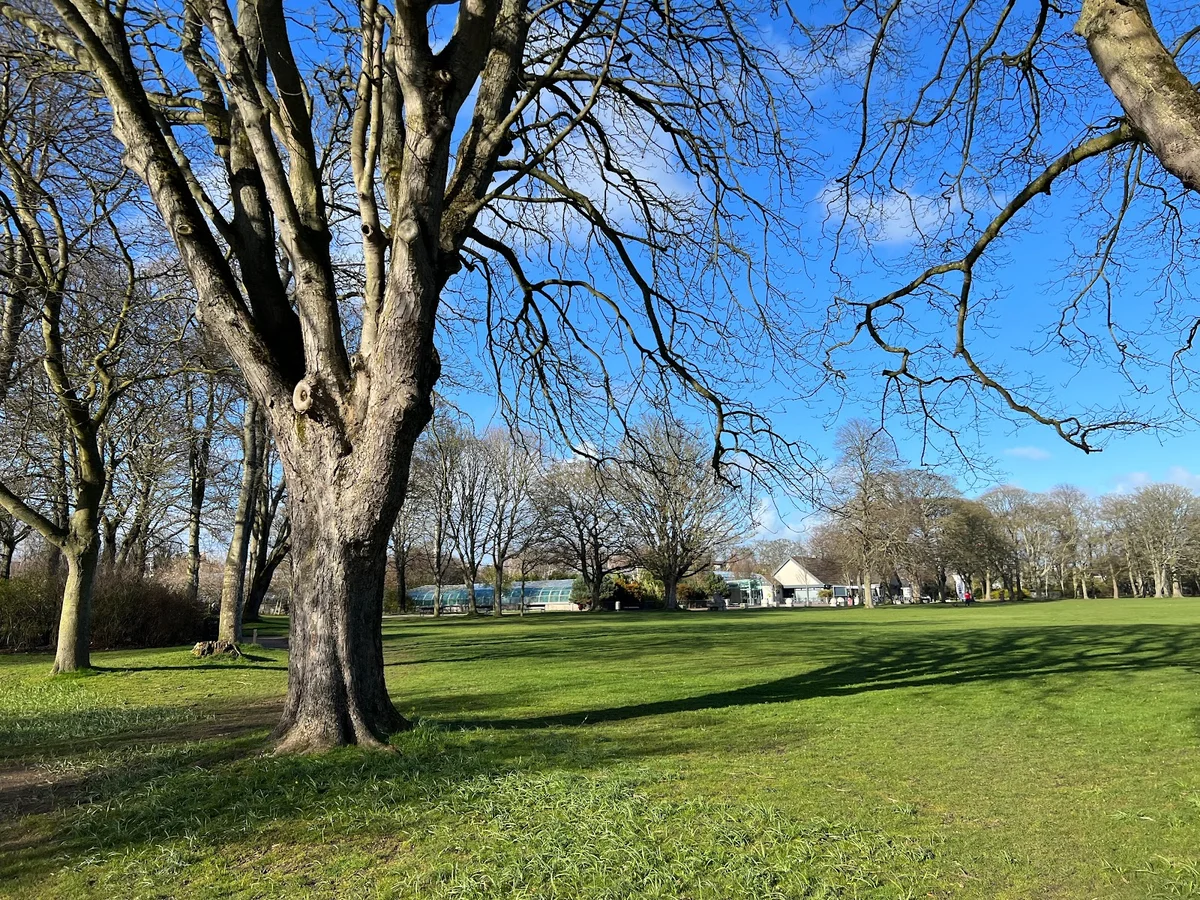 Duthie Park