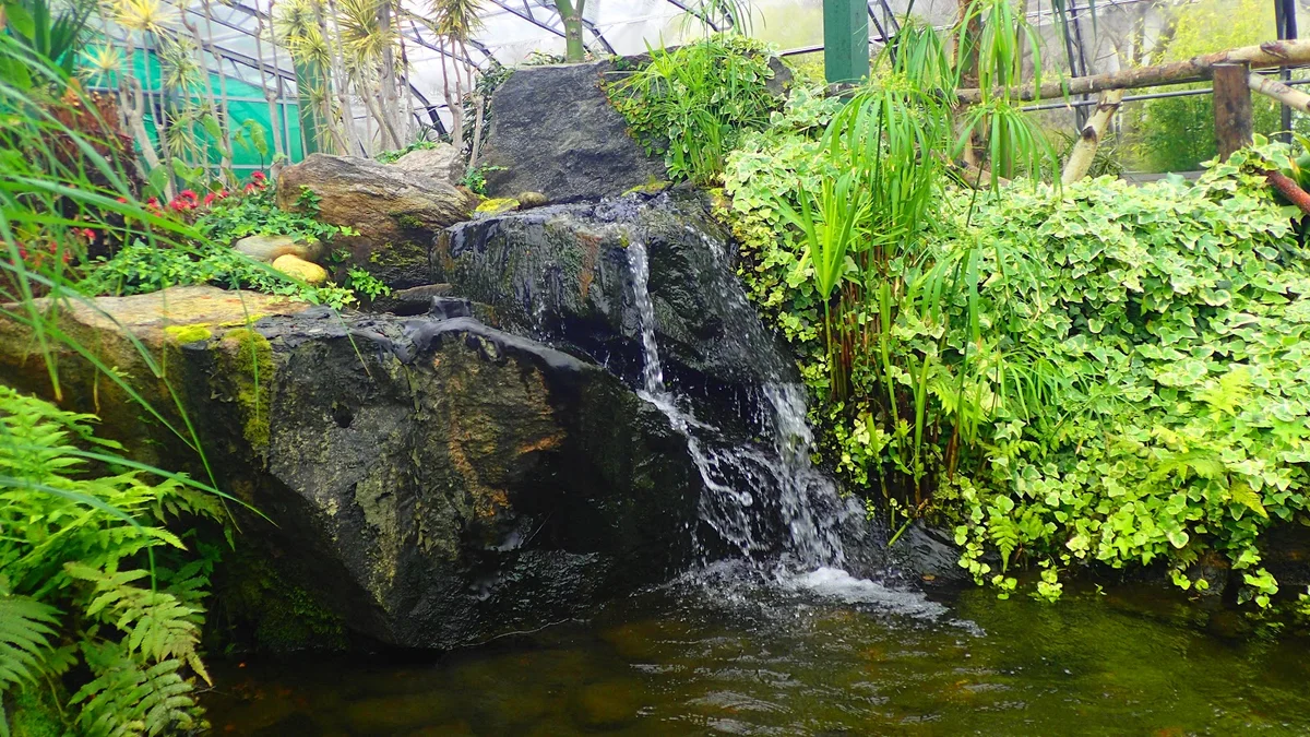 Duthie Park Winter Gardens