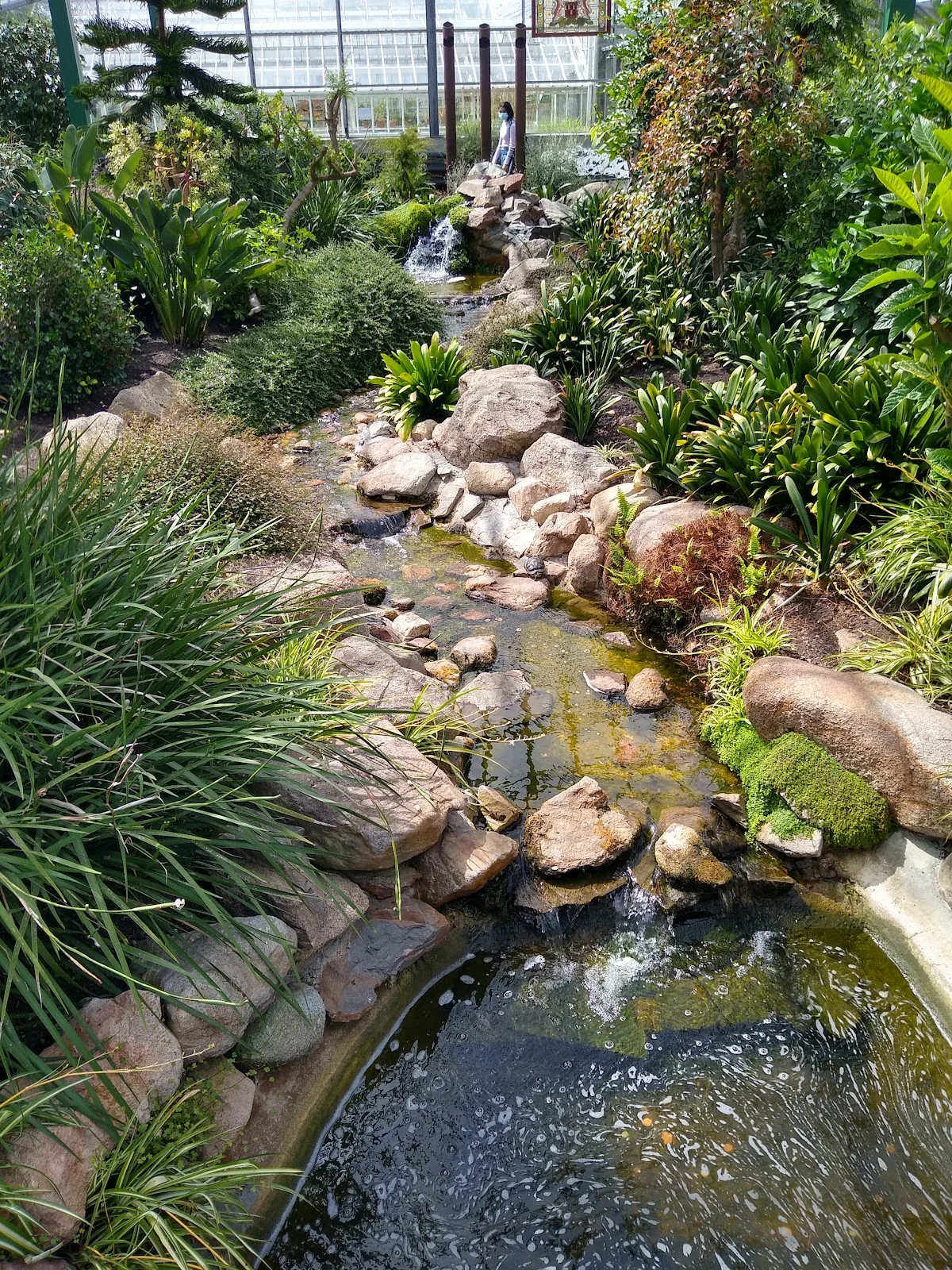 Duthie Park Winter Gardens