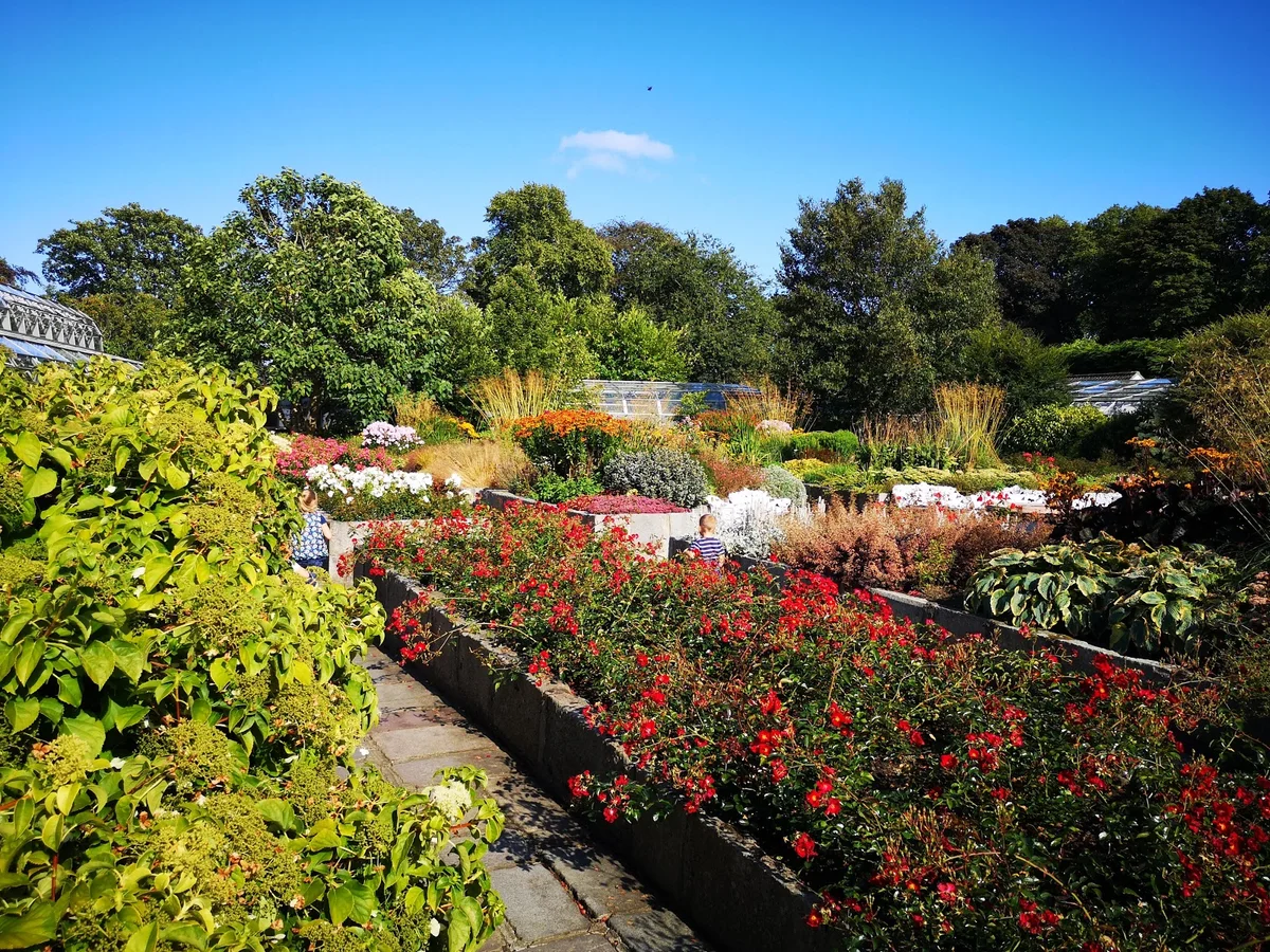 Duthie Park Winter Gardens