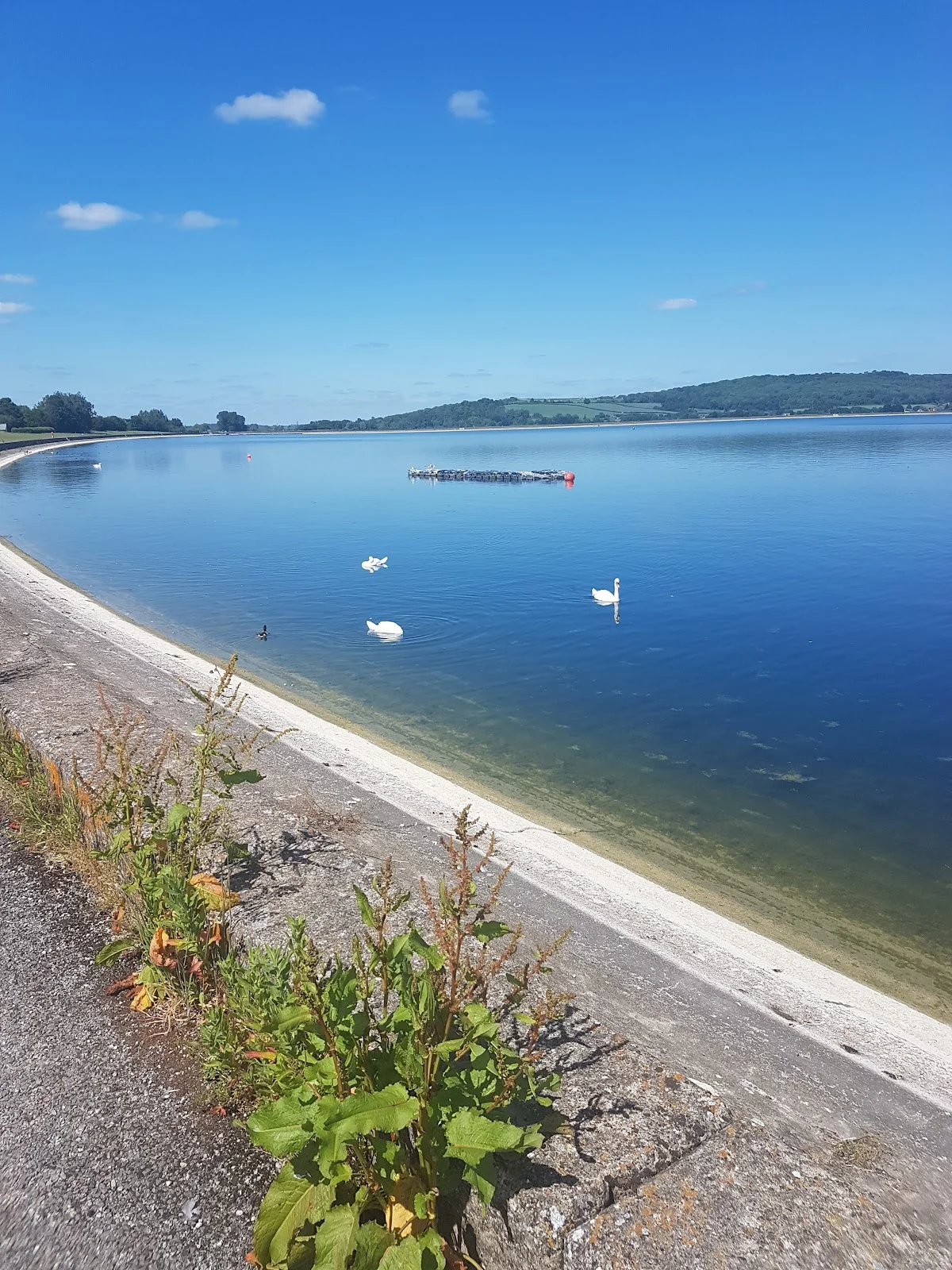 Farmoor Reservoir