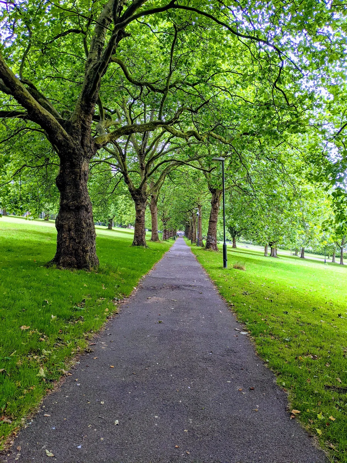 Forest Recreation Ground