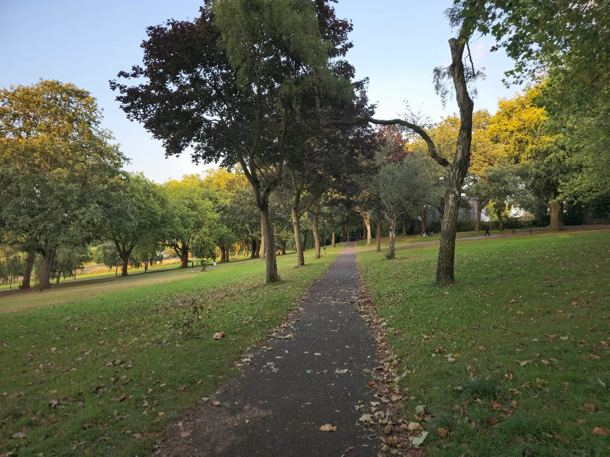 Forest Recreation Ground