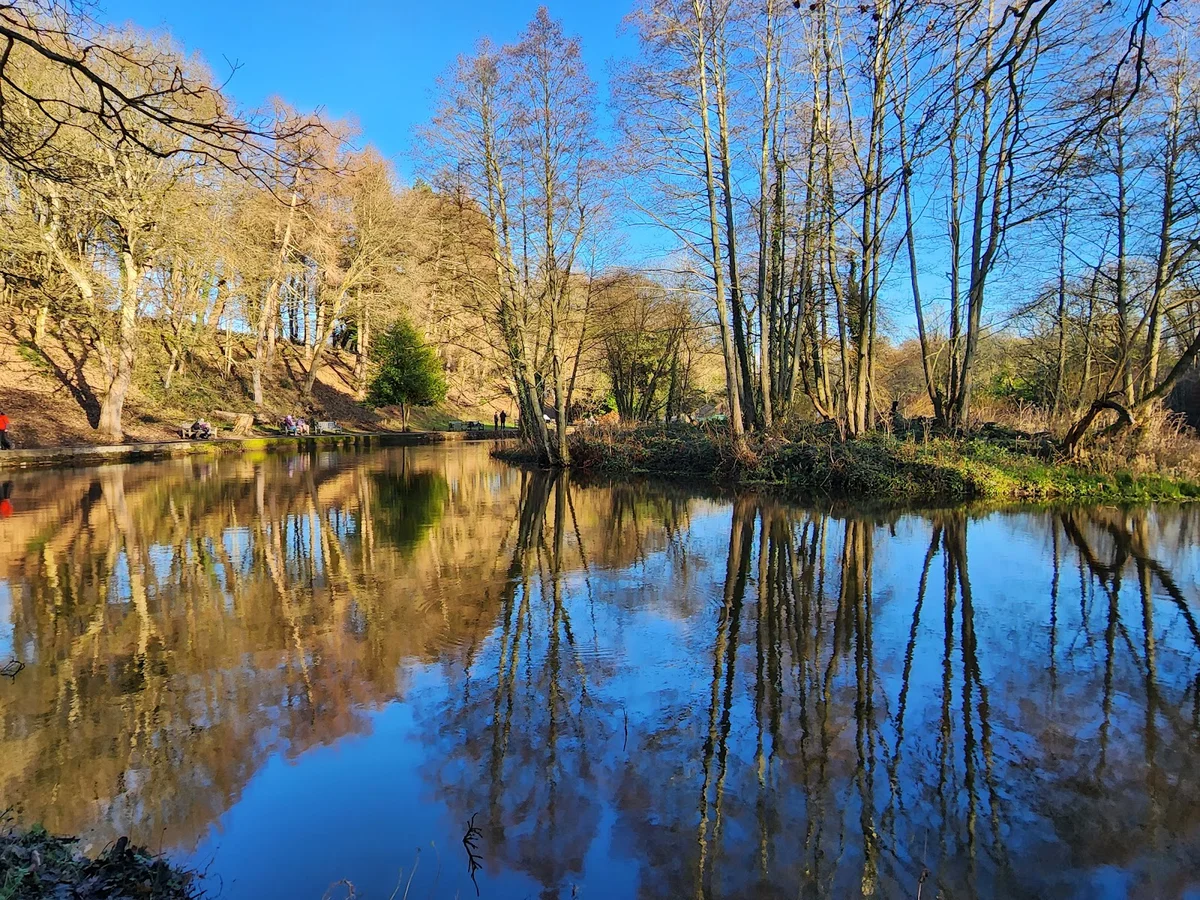 Forge Dam Park
