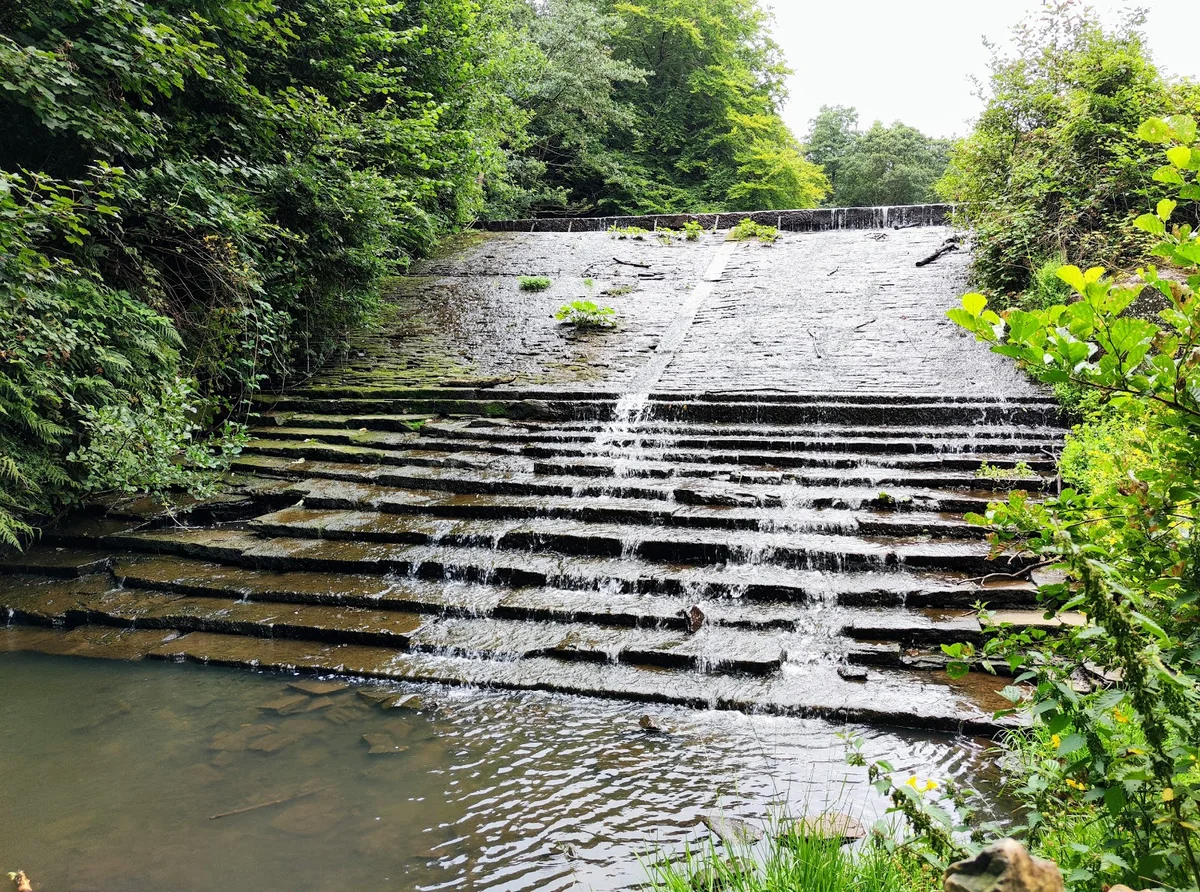 Forge Dam Park