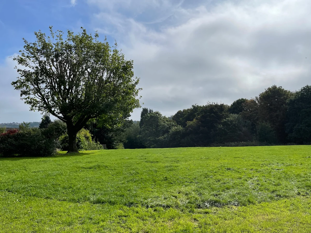 Forge Dam Park