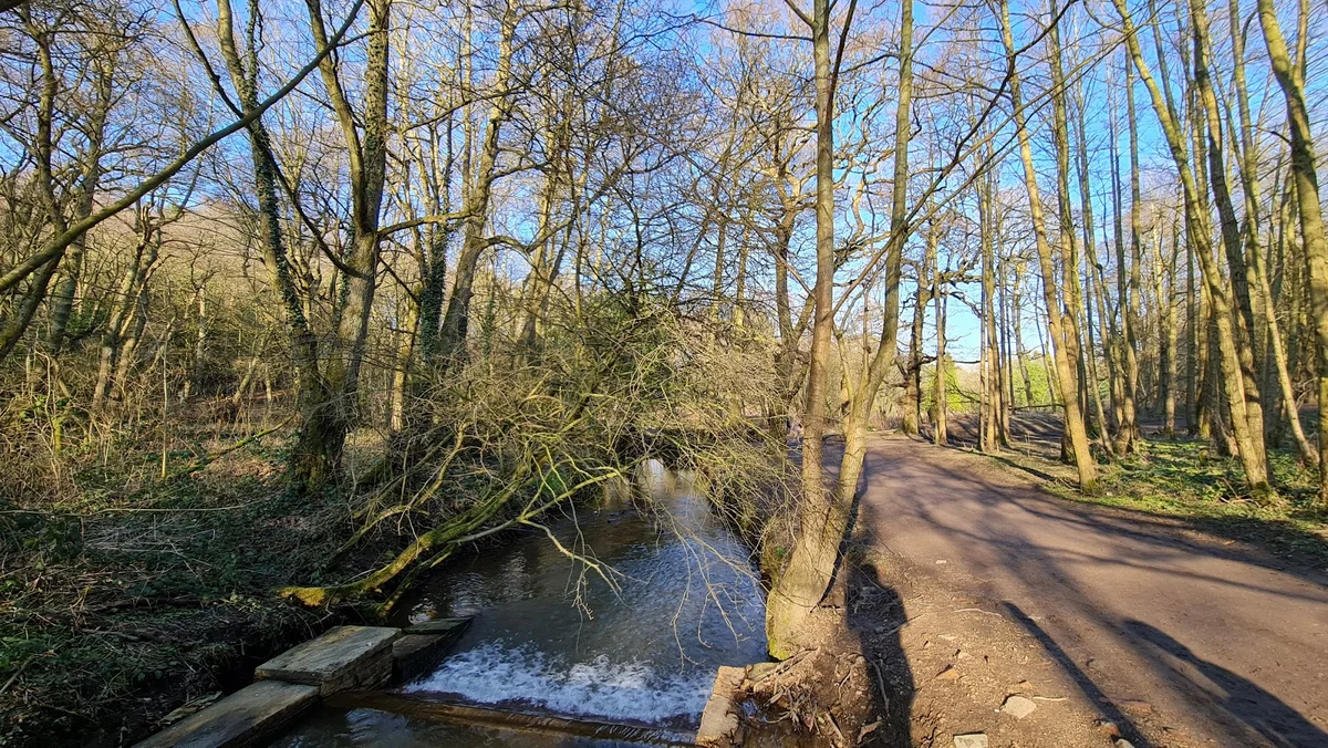 Forge Dam Park